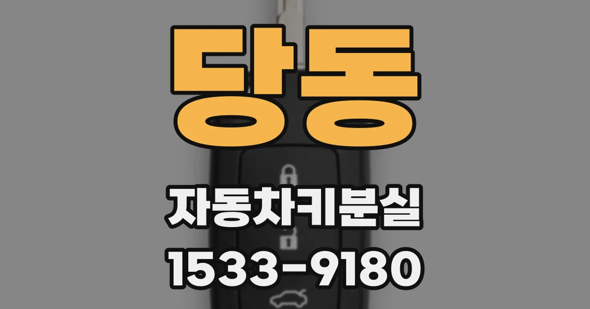 당동 자동차키분실