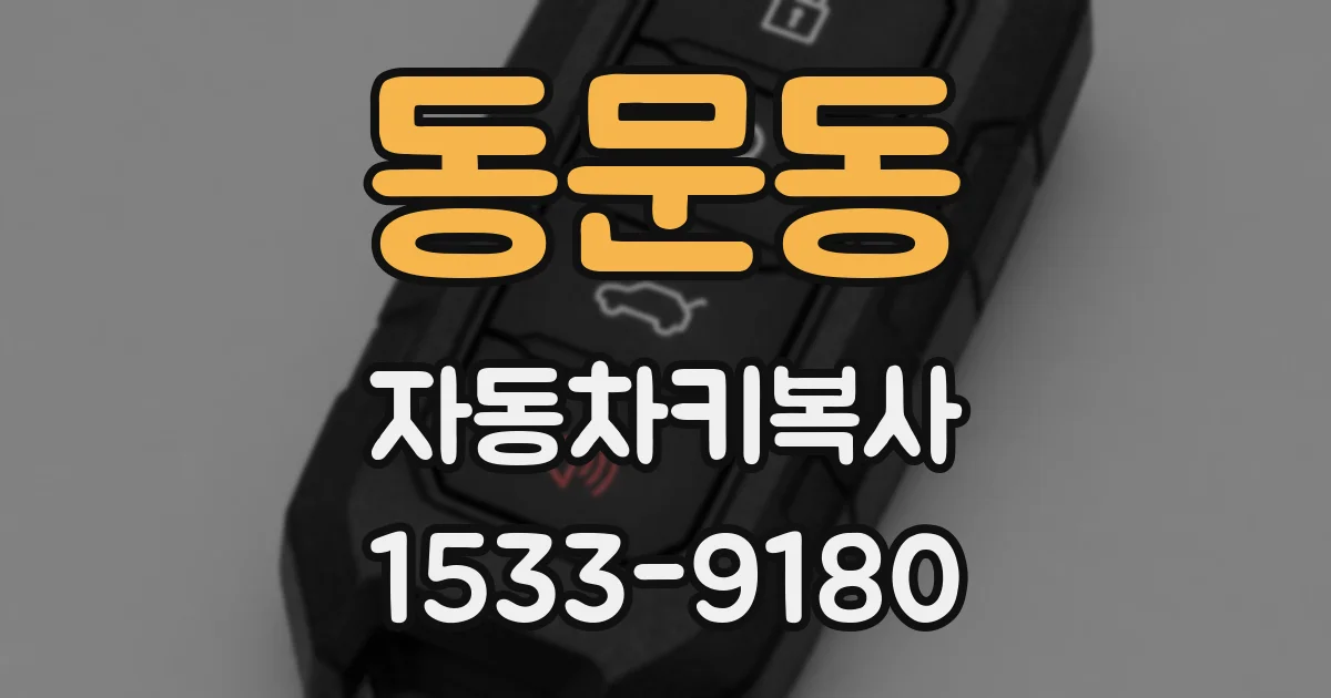 동문동 자동차키복사