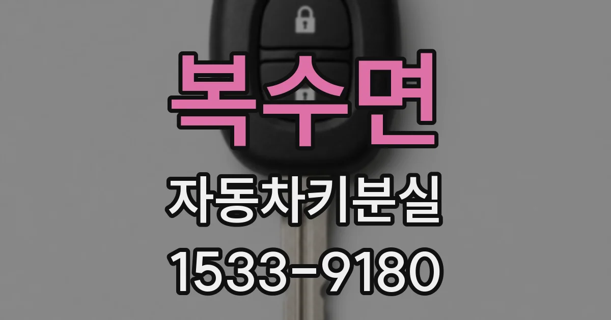 복수면 자동차키분실