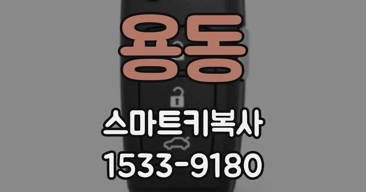 용동 스마트키복사