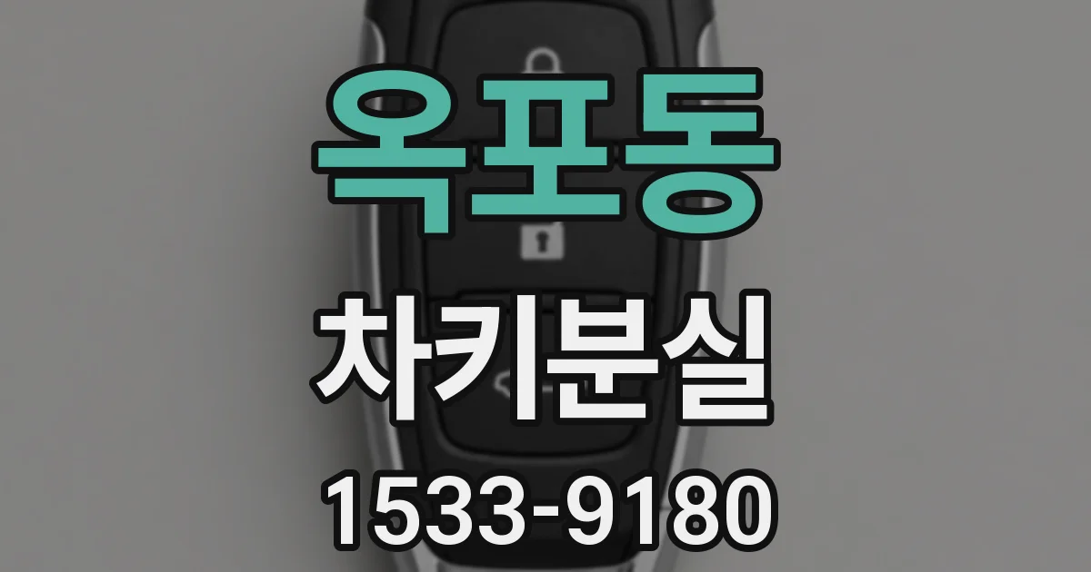 옥포동 차키분실