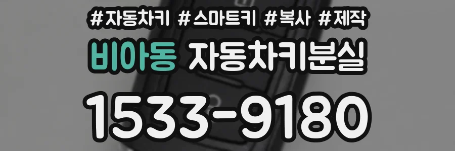 비아동 자동차키분실