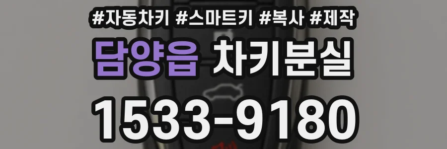 담양읍 차키분실