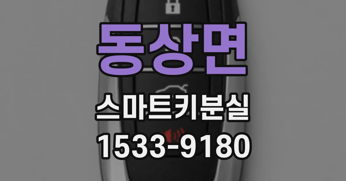 동상면 스마트키분실