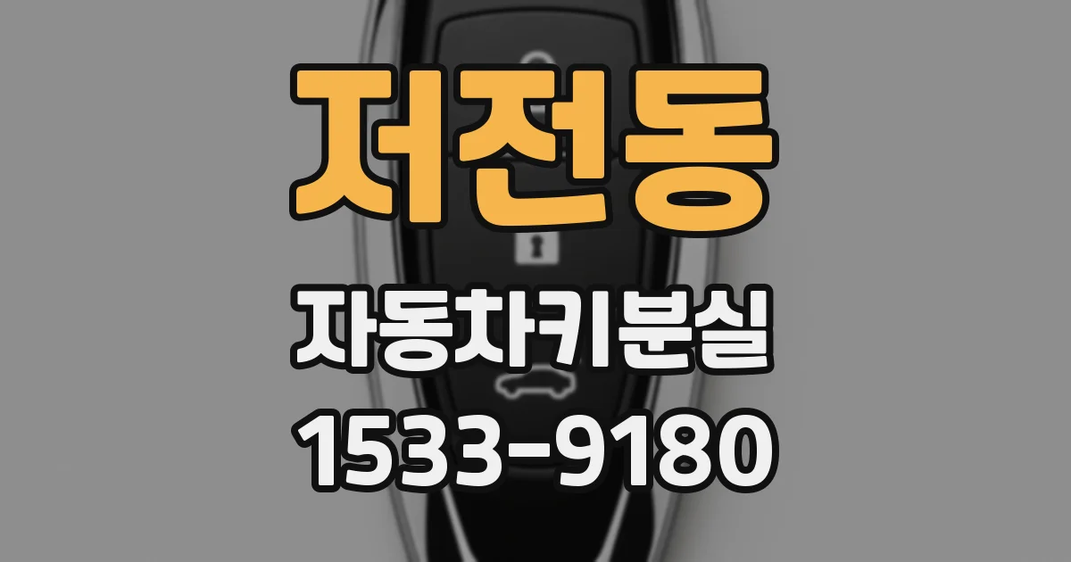 저전동 자동차키분실