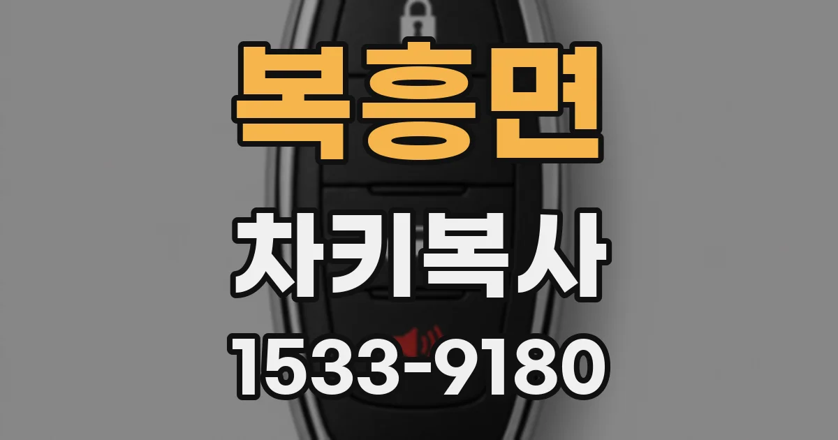 복흥면 차키복사