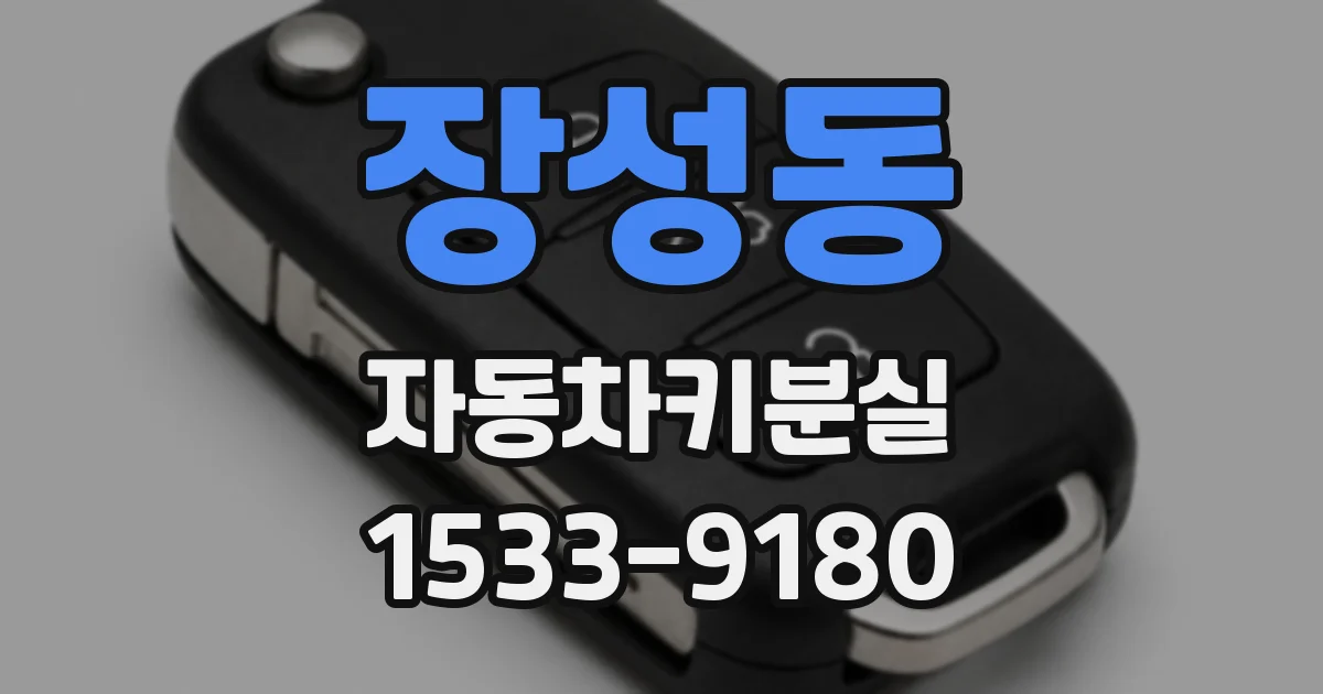 장성동 자동차키분실