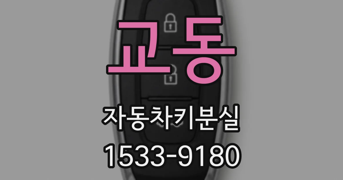 교동 자동차키분실