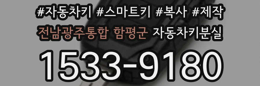 전남광주통합 함평군 자동차키분실