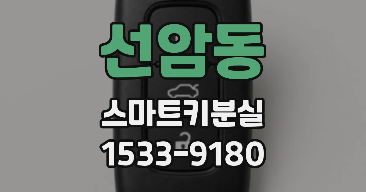 선암동 스마트키분실