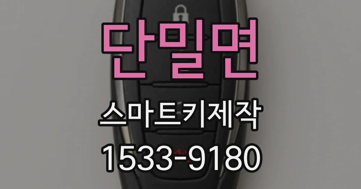 단밀면 스마트키제작