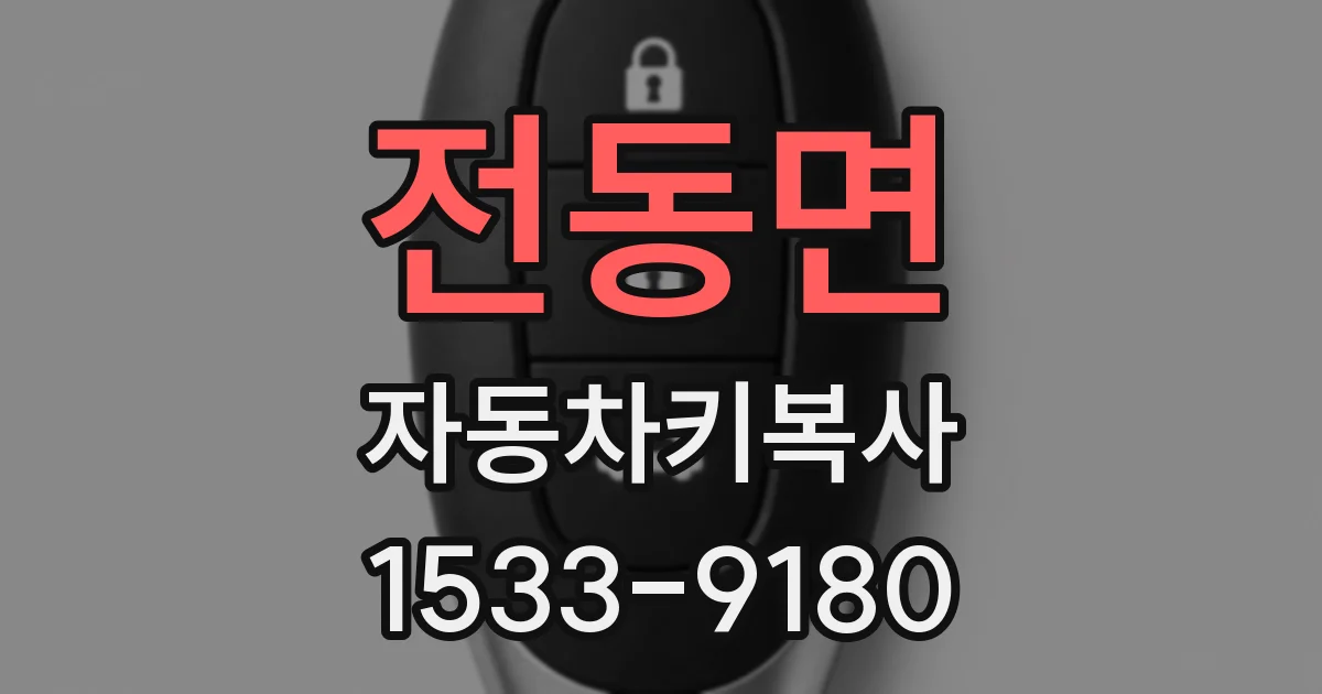 전동면 자동차키복사