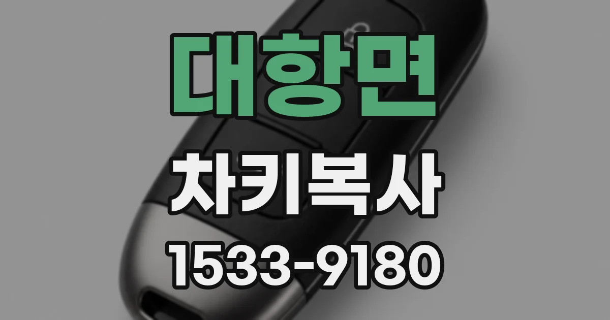 대항면 차키복사
