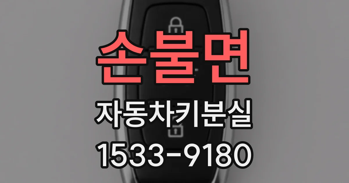 손불면 자동차키분실