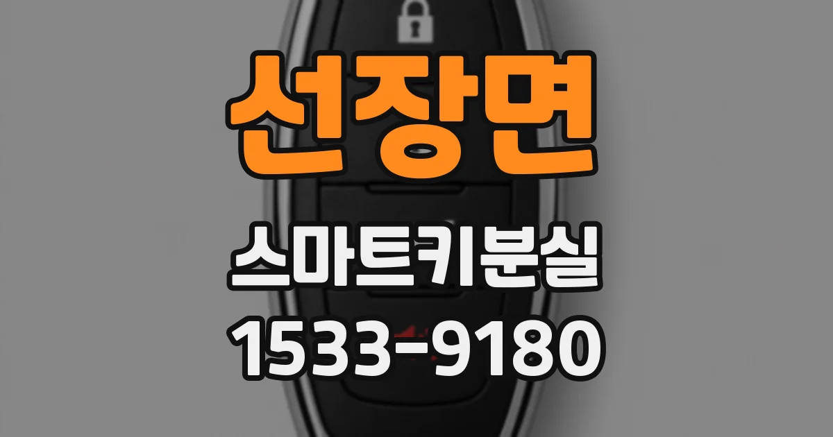 선장면 스마트키분실
