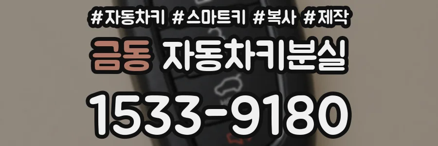 금동 자동차키분실