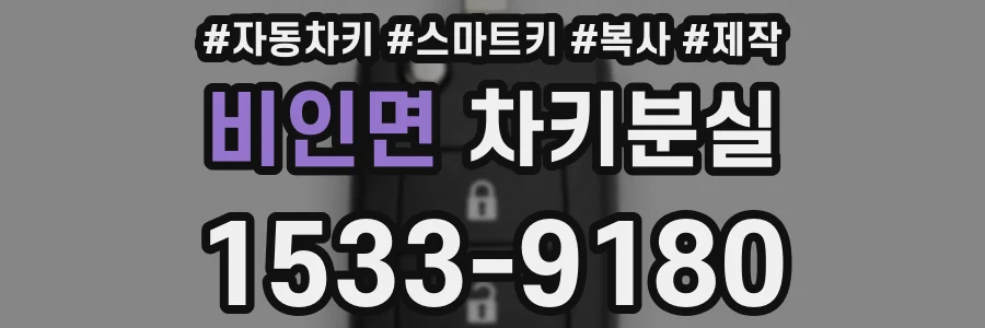비인면 차키분실