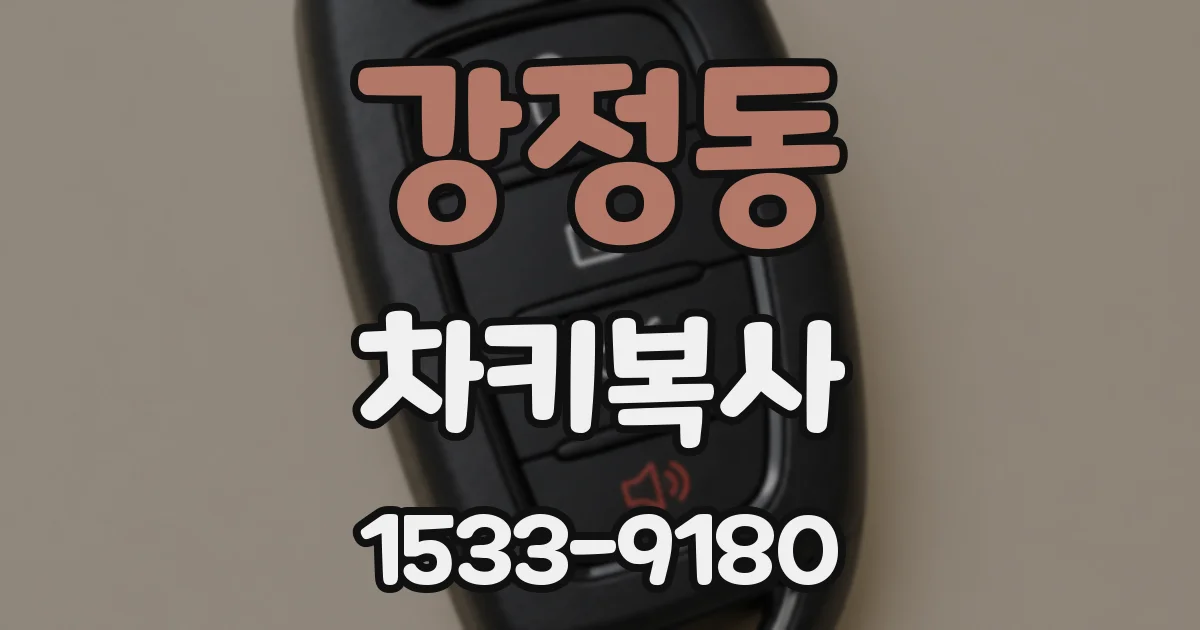 강정동 차키복사