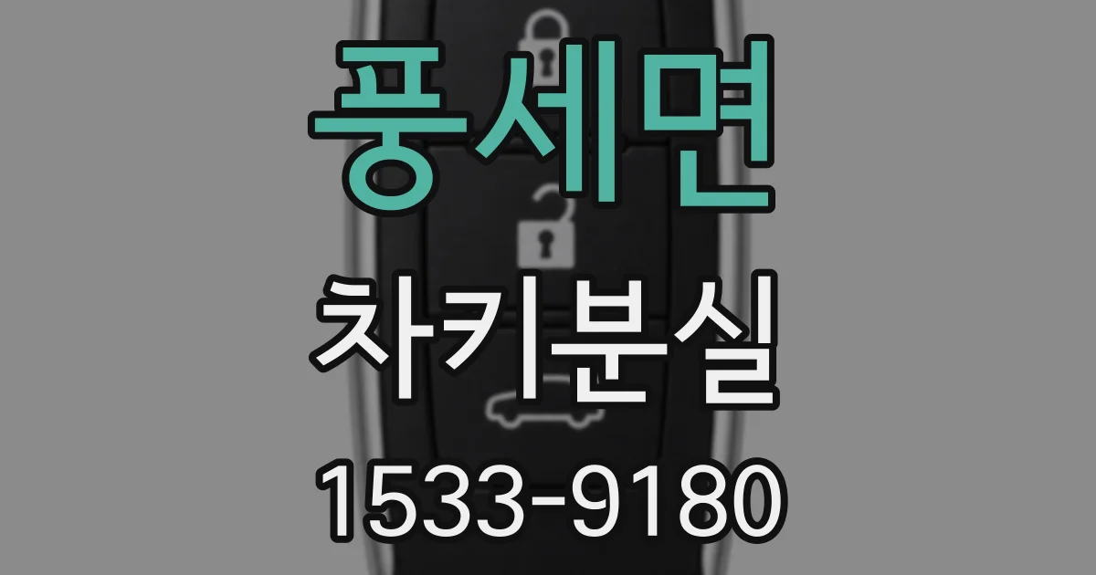풍세면 차키분실
