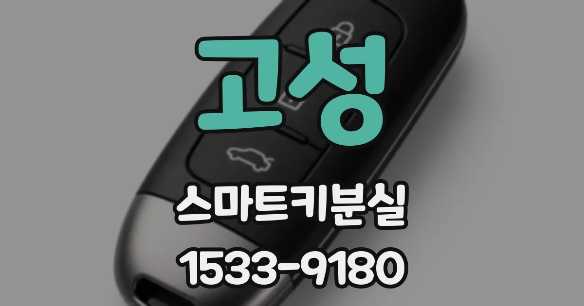 고성 스마트키분실