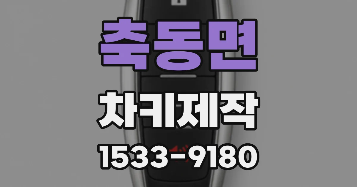 축동면 차키제작