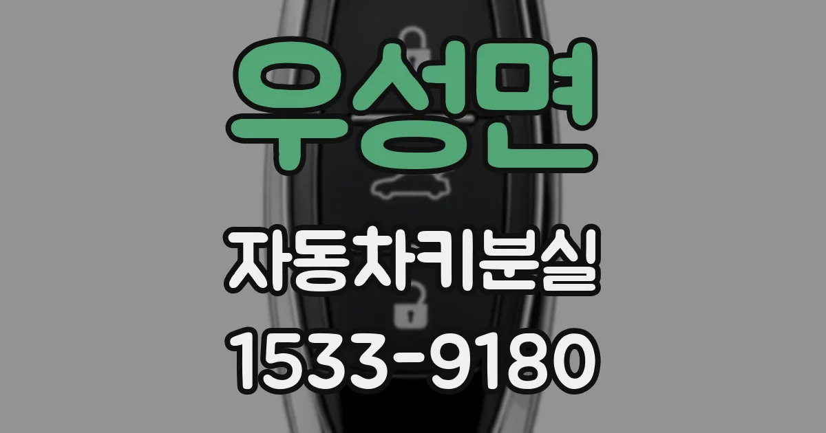 우성면 자동차키분실