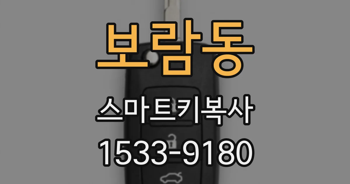 보람동 스마트키복사