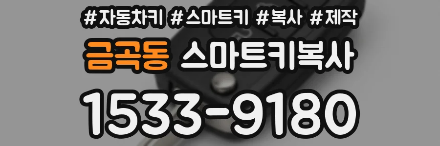 금곡동 스마트키복사