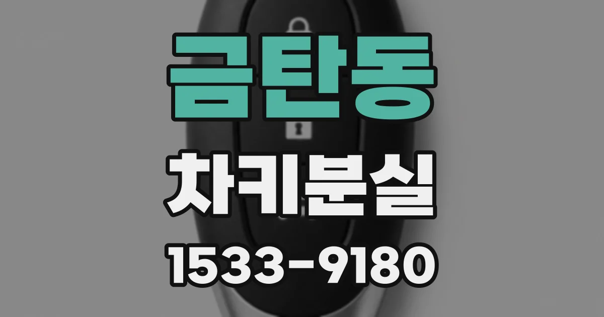금탄동 차키분실