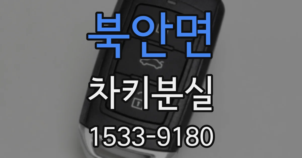 북안면 차키분실