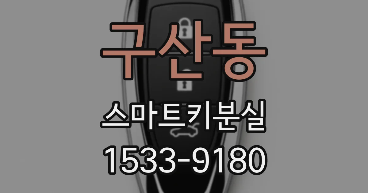 구산동 스마트키분실