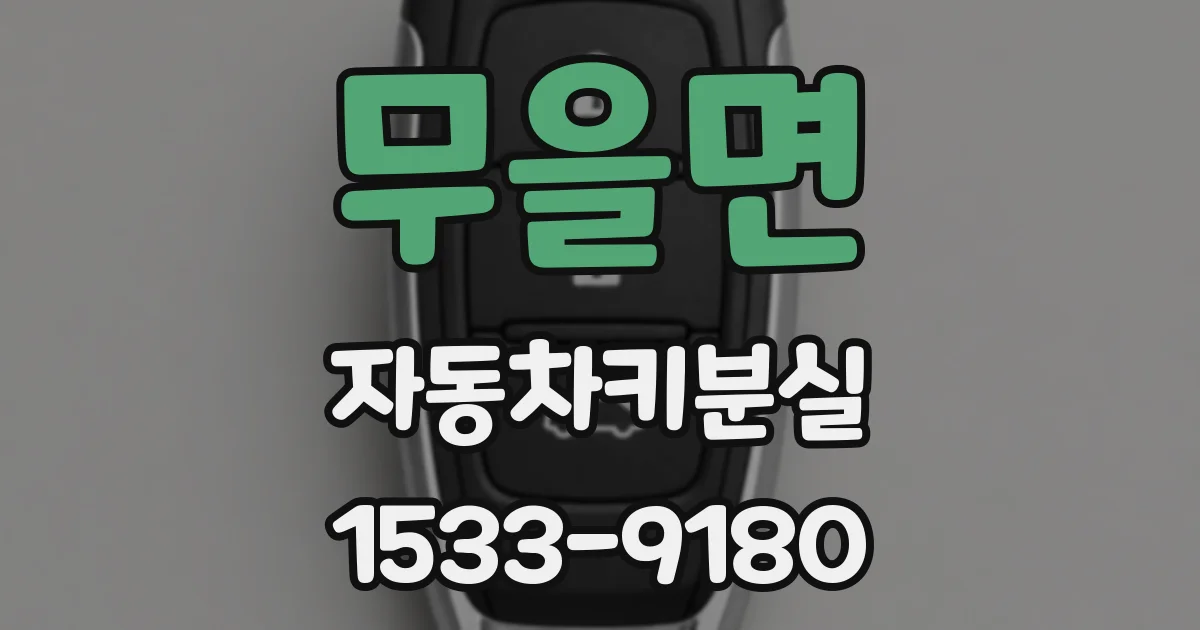무을면 자동차키분실