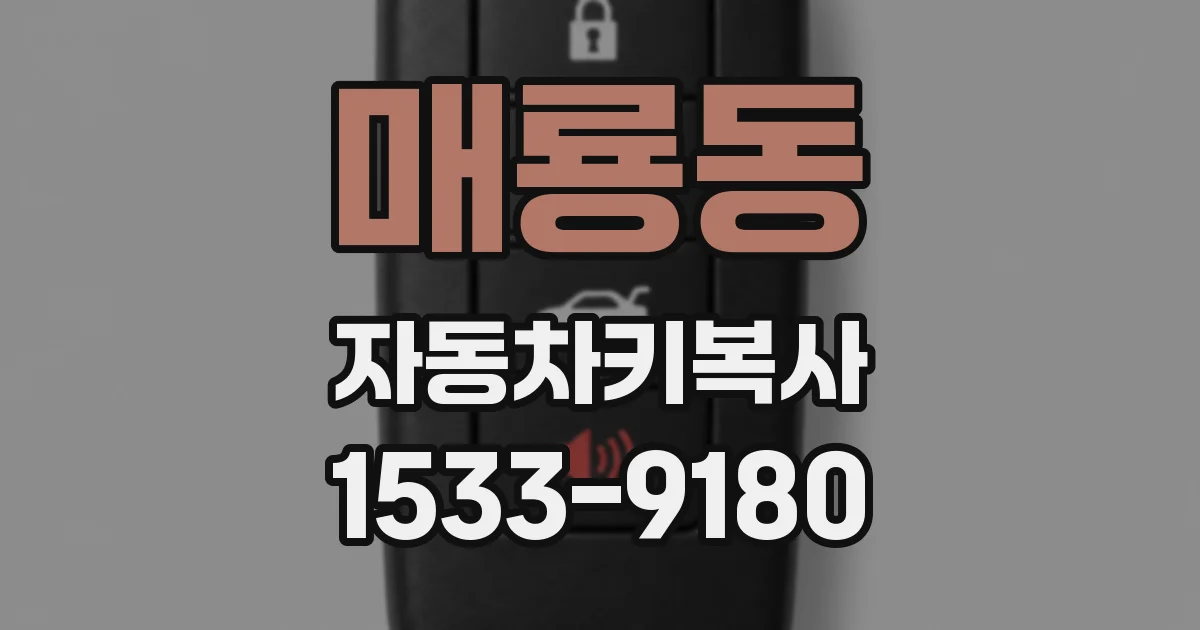 매룡동 자동차키복사