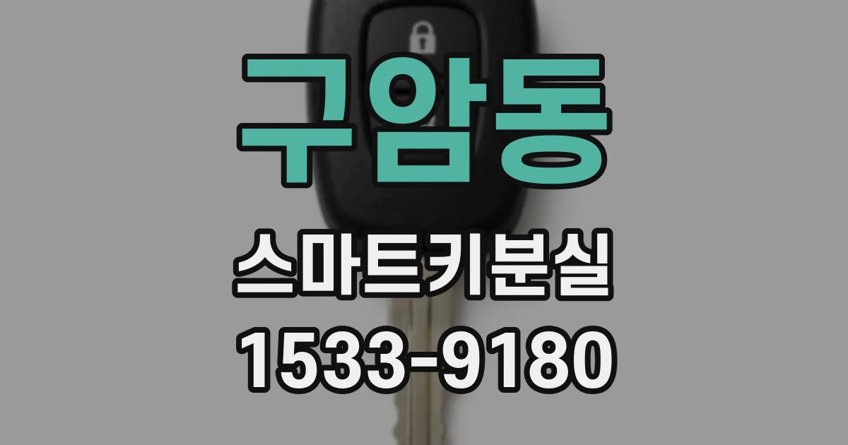 구암동 스마트키분실