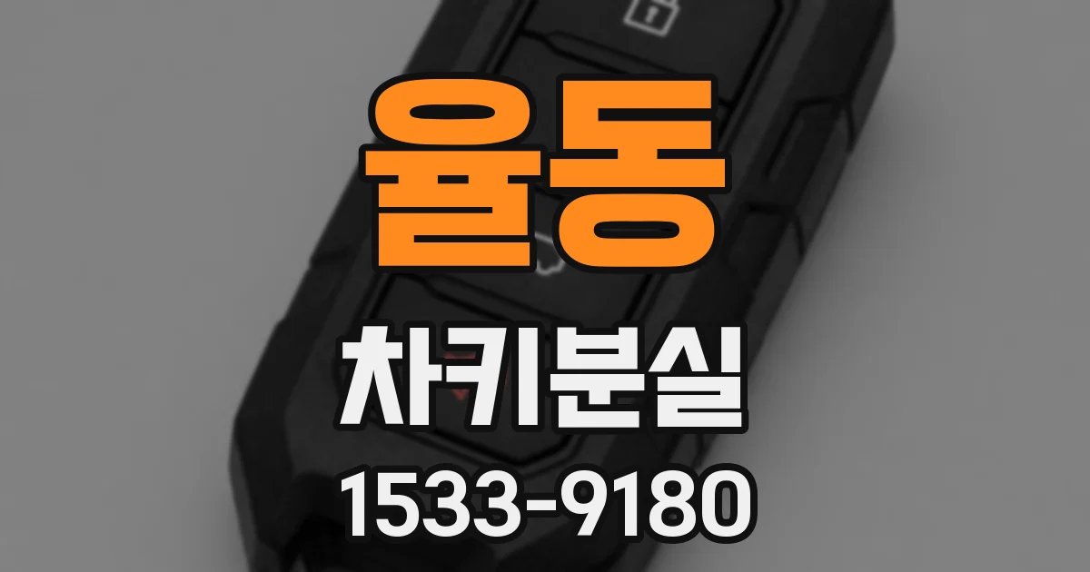율동 차키분실