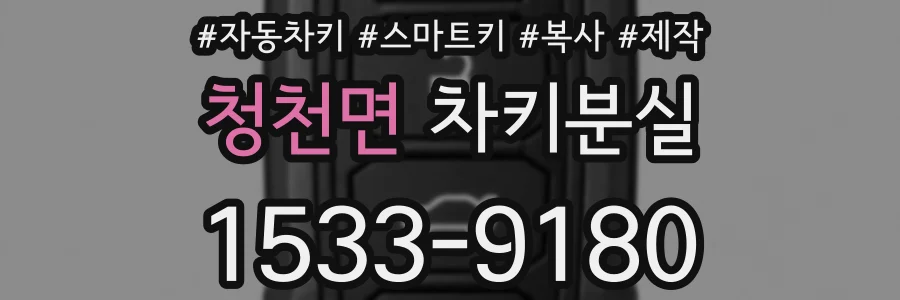 청천면 차키분실