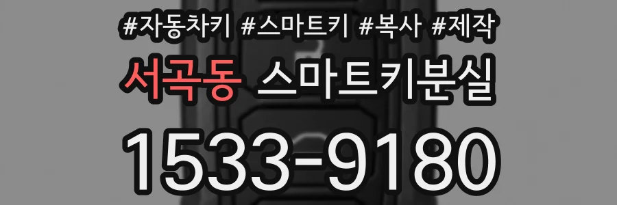 서곡동 스마트키분실
