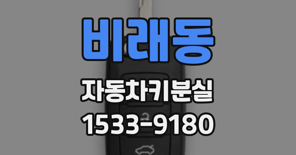 비래동 자동차키분실