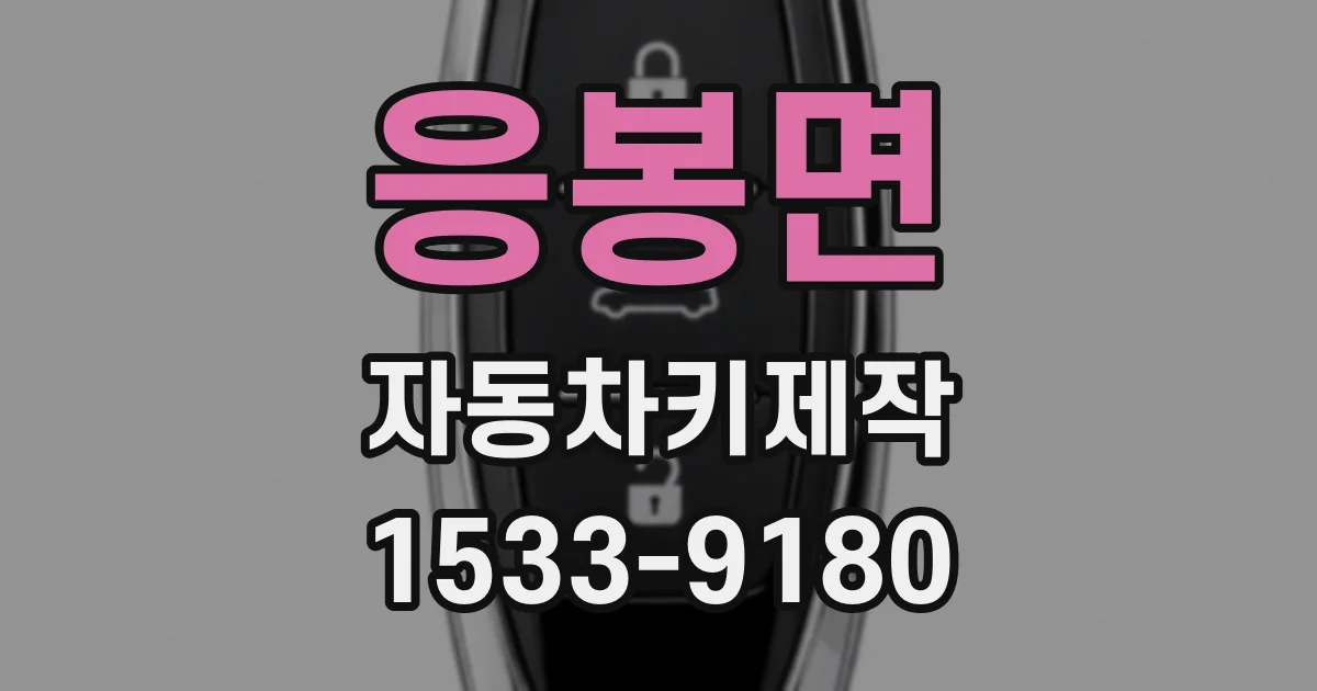 응봉면 자동차키제작