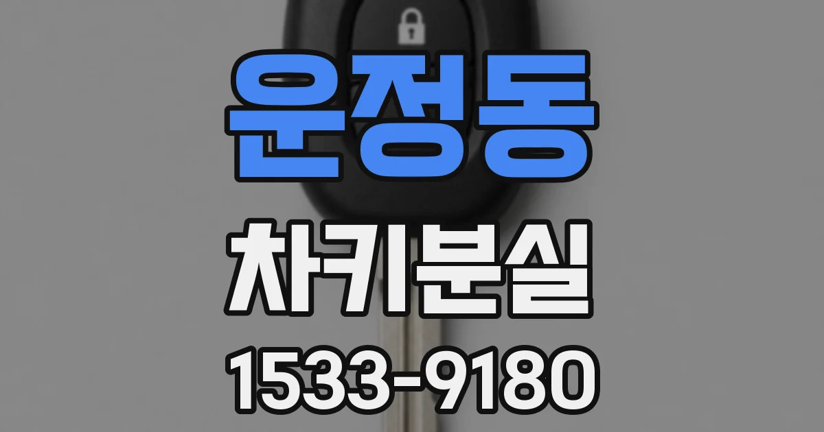 운정동 차키분실