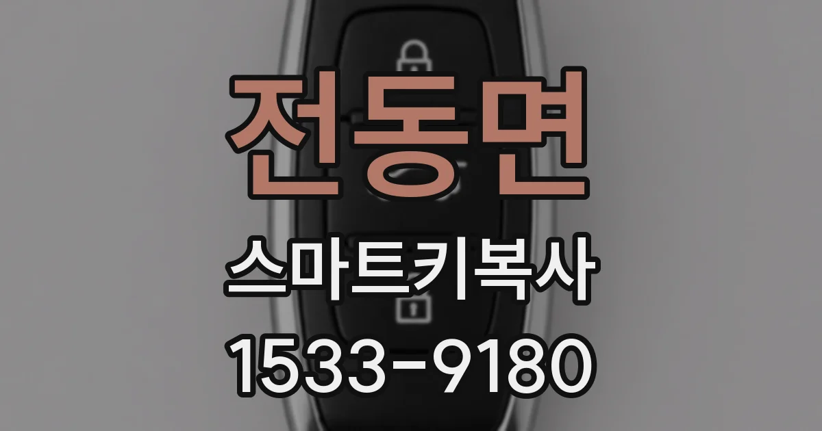 전동면 스마트키복사