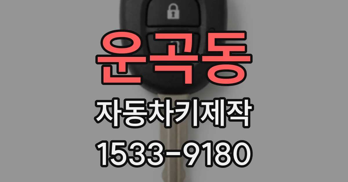 운곡동 자동차키제작