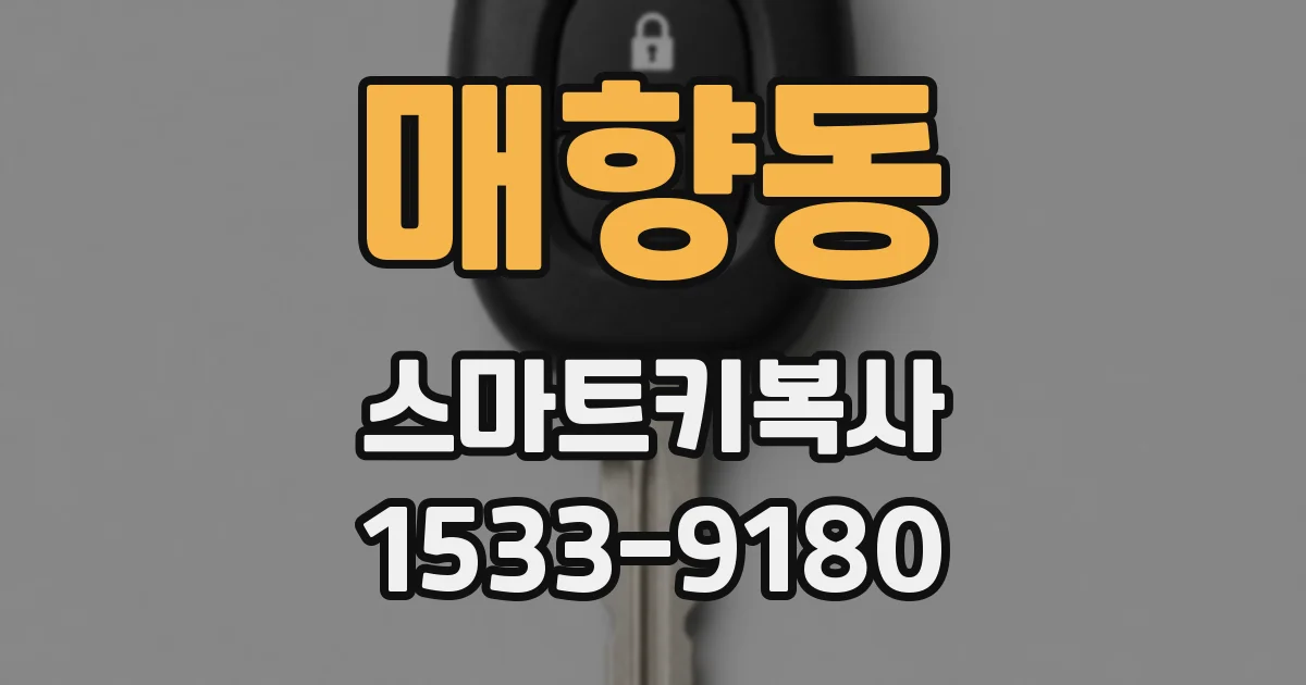 매향동 스마트키복사