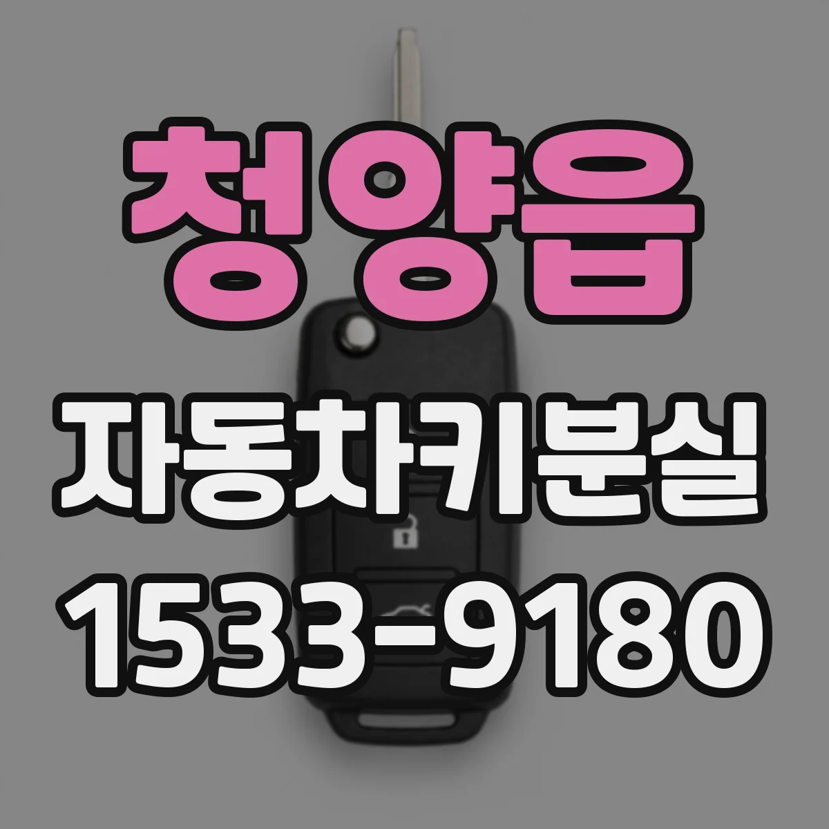 청양읍 자동차키분실