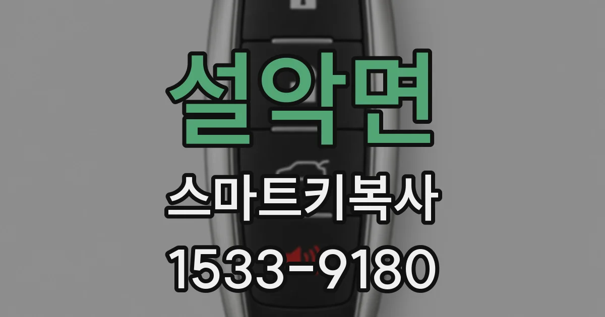 설악면 스마트키복사