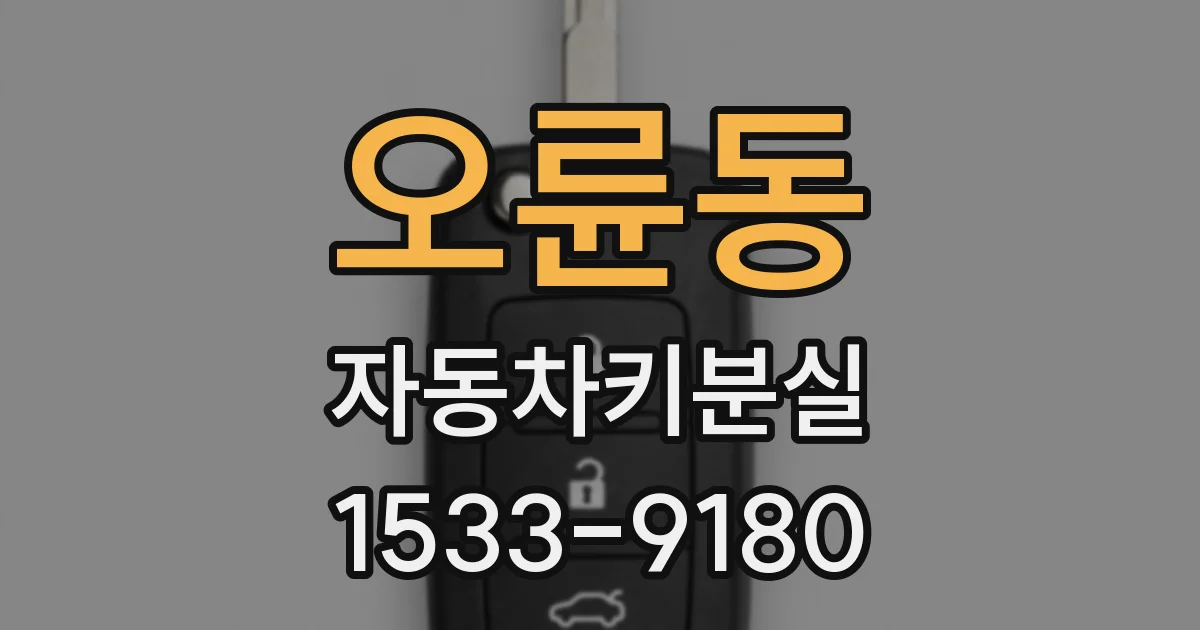 오륜동 자동차키분실