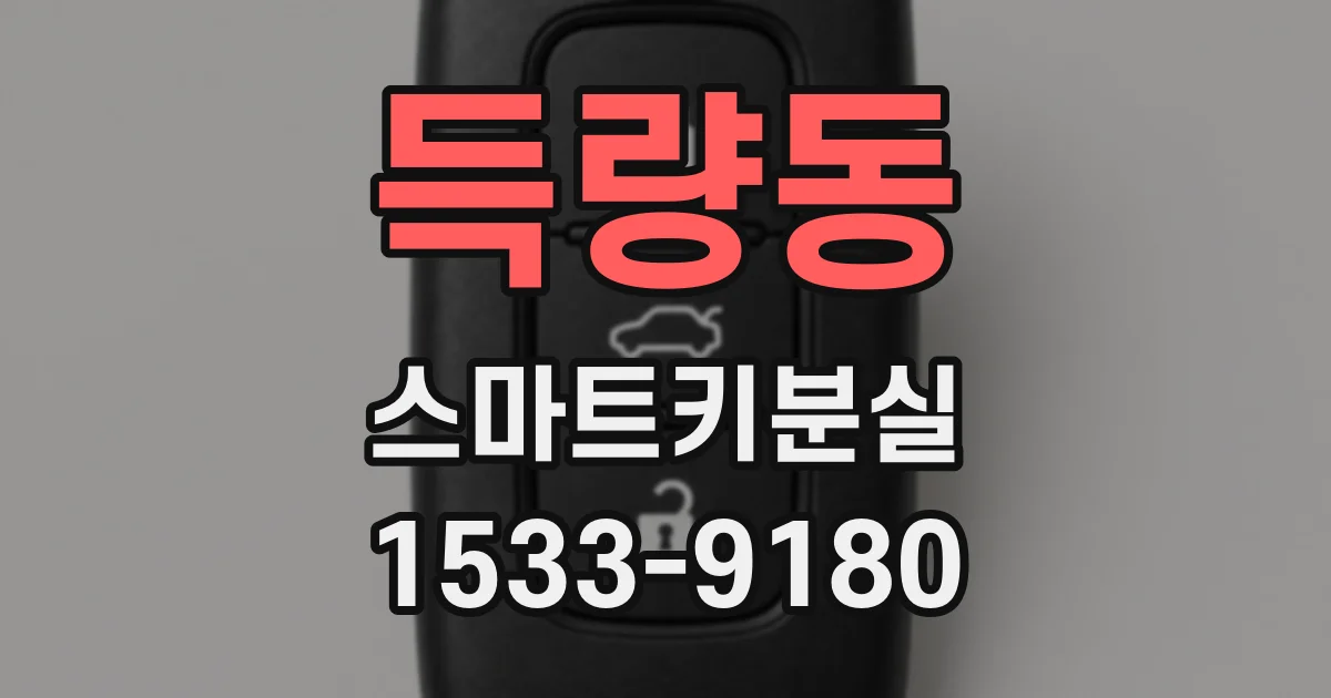 득량동 스마트키분실