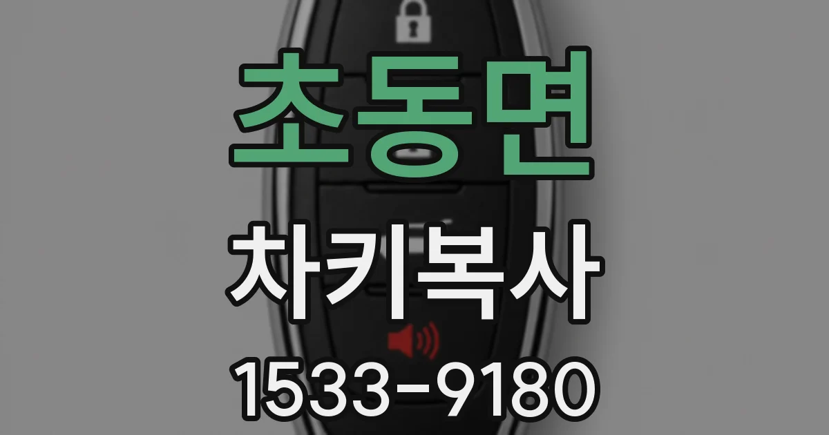 초동면 차키복사
