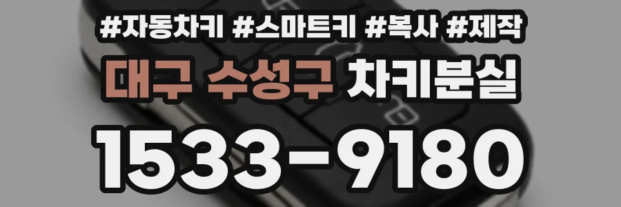 대구 수성구 차키분실