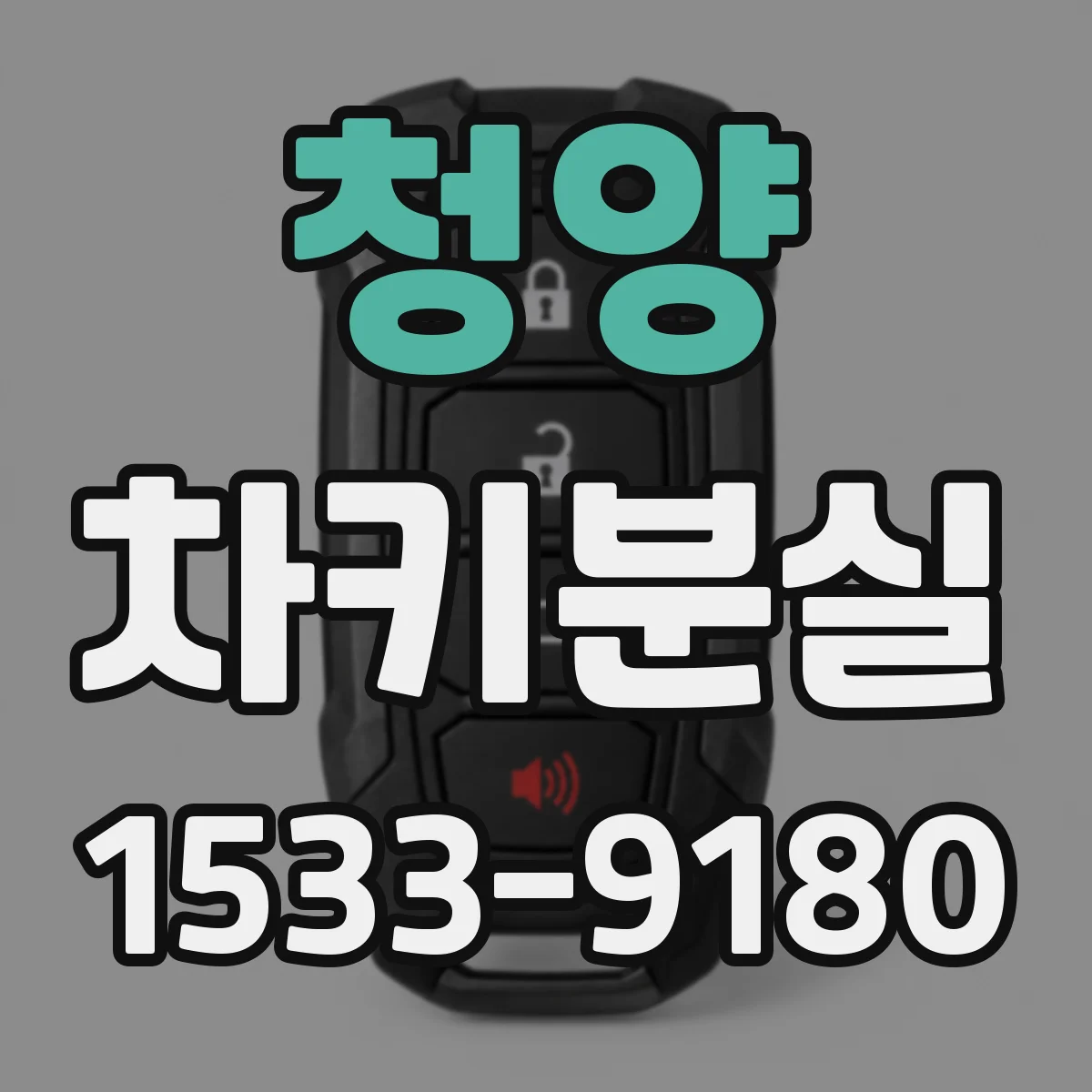 청양 차키분실